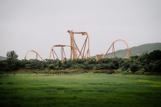 Navigating the Emotional Rollercoaster of Online Casino Losses