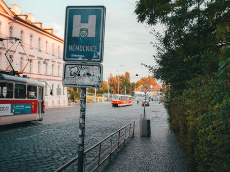 Czech Republic's Online Gambling Boom: Laws & Impact in 2024